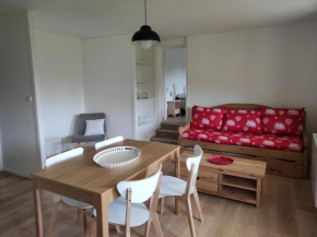 Appartement charmant rénové 47m², balcon sud, proche centre et pistes, 4 pers, parking privé, 38880 Autrans - FR-1-737-7